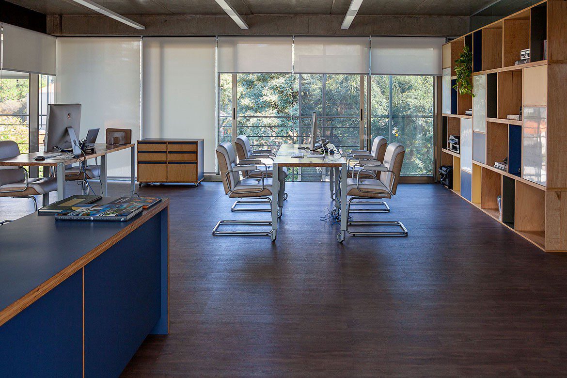 escritório open office com cadeiras estofadas e estações de trabalho, armários baixos de madeira com laminado azul e estante vasada de madeira com objetos e vasos de plantas